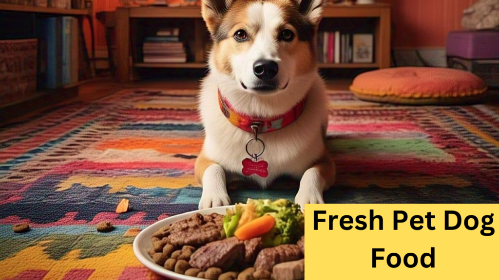 Fresh Pet Dog Food