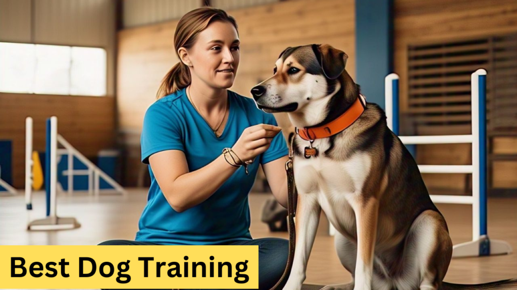 Best Dog Training