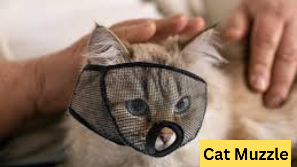 Cat Muzzle