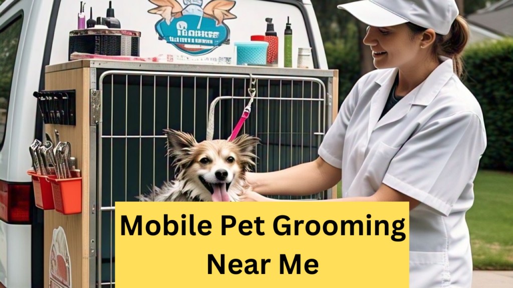 Mobile Pet Grooming Near Me