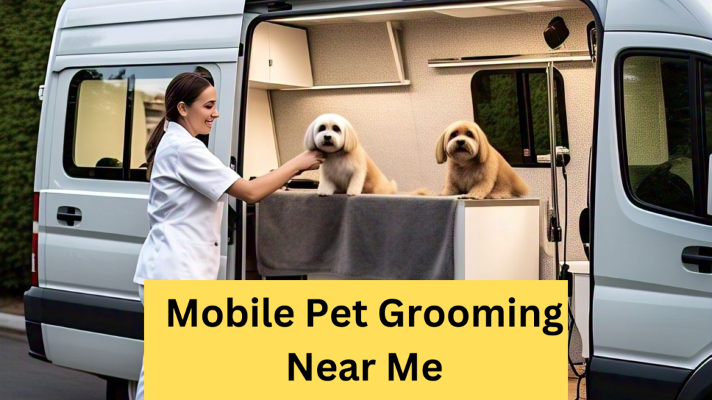 Mobile Pet Grooming Near Me