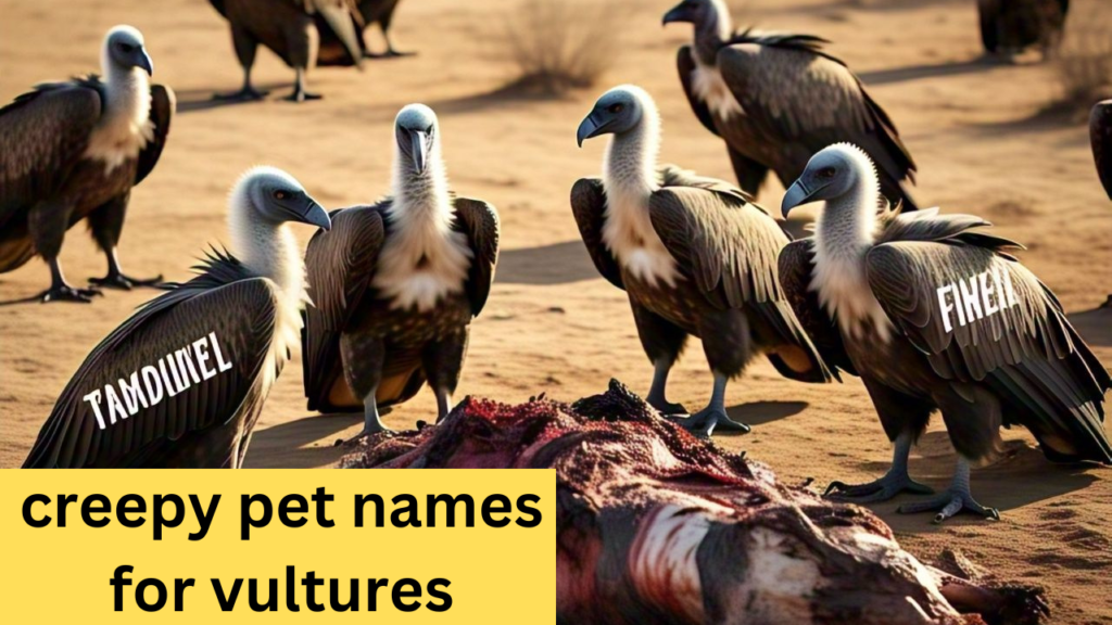 creepy pet names for vultures